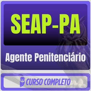 SEAP-PA (Agente Penitenciário) Pacote